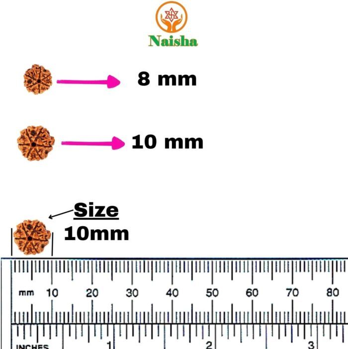 NAISHA 10 MM Rudraksha Mala 108+1 Beads Necklace, Beads Natural Himalaya 5 face Panch Mukhi Rudraksha, Prayer Beads, Wrist Mala Wrap, Jaap Mala (1 Pack) - Image 3