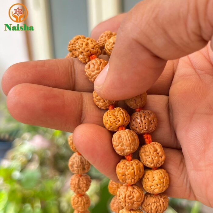 NAISHA 10 MM Rudraksha Mala 108+1 Beads Necklace, Beads Natural Himalaya 5 face Panch Mukhi Rudraksha, Prayer Beads, Wrist Mala Wrap, Jaap Mala (1 Pack) - Image 5